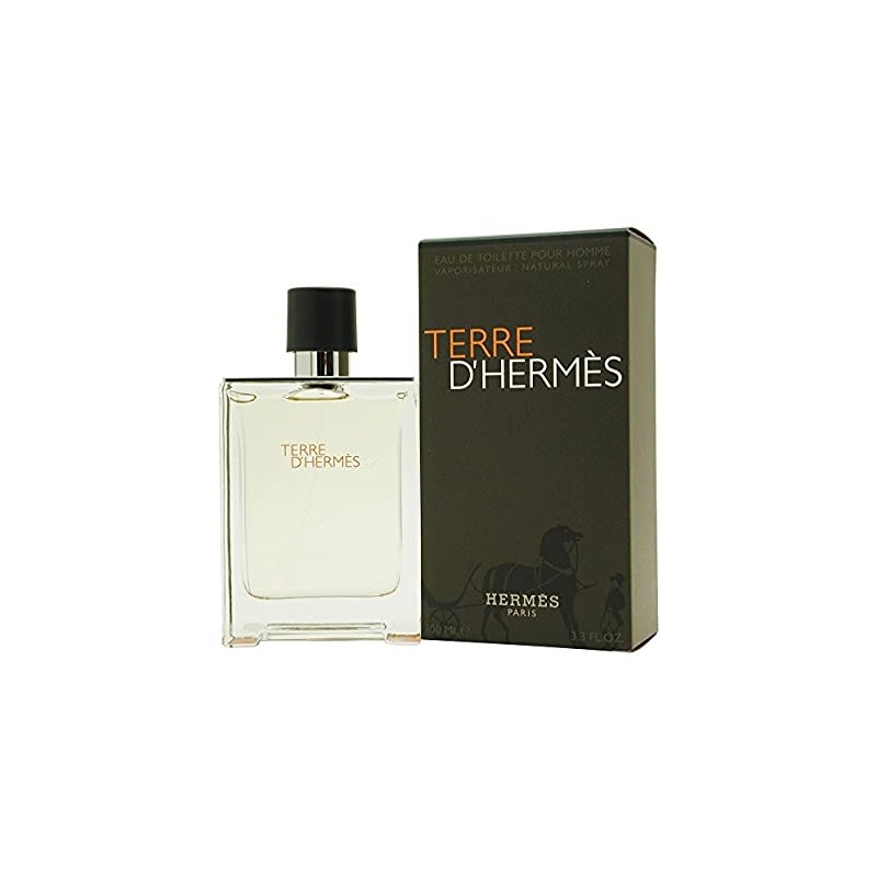 Hermes Terre D Hermes EDT 100 ml Erkek Parfüm